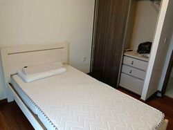 The Visionaire (D27), Condominium #459103331